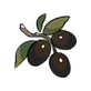 Olive.png