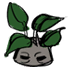 Mandrake Root.png