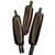 Cattail.png