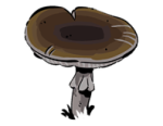 Deathcap Unharvested.png