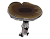 Deathcap.png